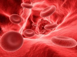 Hemoglobin is the protein that makes blood red.