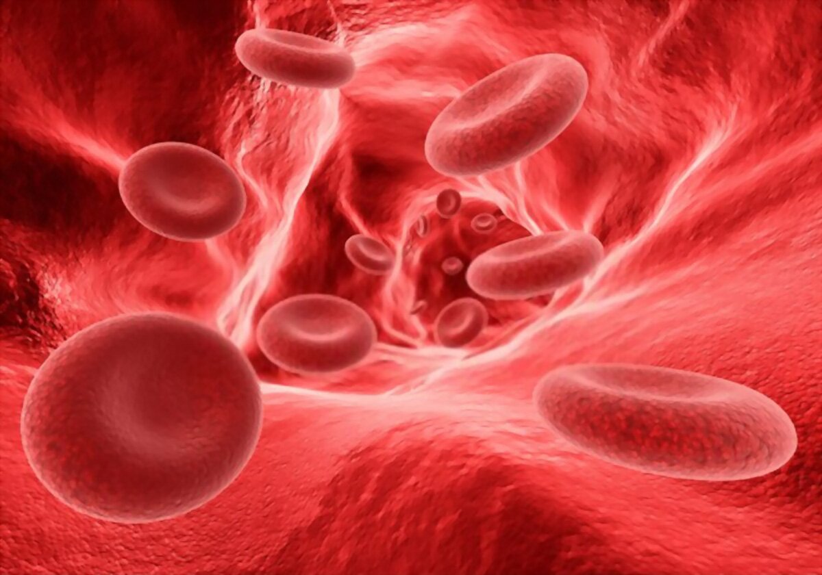 Hemoglobin is the protein that makes blood red.