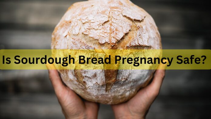 Is it safe to eat sourdough bread during pregnancy?